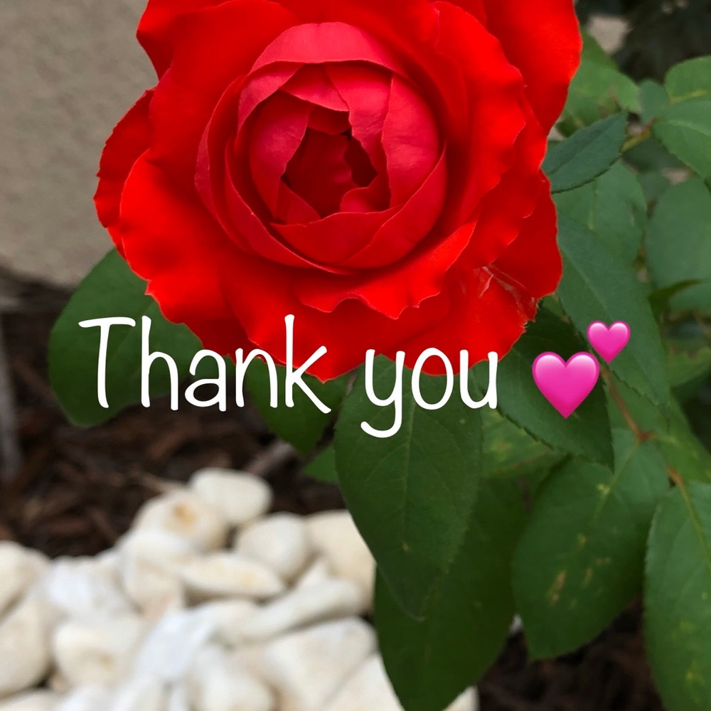 Meet your Posher, Boots